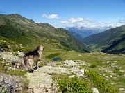 33 Dori ammira la Val Grande di Tartano con vista sulle Alpi Retiche